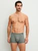 Calida New Boxer in agave green