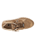 Cetti Sneaker low C-848 V25-26 in Braun