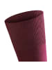 Falke Socken 2er Pack in Barolo (8596)