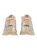 Steve Madden Sneaker MAXOUT in Khaki