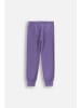 Coccodrillo Jogginghose in violett