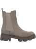 Palado Chelsea Boots Caprera in Grau