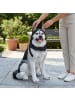 relaxdays Hund-Gartenfigur "Husky" in Schwarz/ Weiß - (B)49 x (H)86 x (T)62 cm