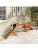Pawhut Hunde Agility Steg Orange Tannenholz