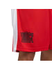 Nike Shorts in Schwarz/Rot/Weiß