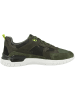 Geox Sneaker low U Grecale C in gruen