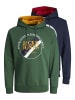 Jack & Jones Hoodie 'Loof' in dunkelgrün