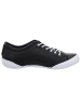 Andrea Conti SHOES Schnürschuhe in schwarz