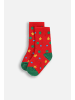 Coccodrillo Socken Xmas in rot