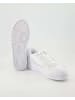 Lacoste Klassische Schnürschuhe in Weiß