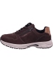 Solidus Schnürschuhe Keanu RANCH/VEL/BINGO darkbrown mult in Braun