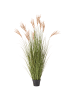 Beliani Kunstpflanze CLAW FLOWER in Grün/Braun/Schwarz - (W) 60 x (H) 150 x (L) 60 cm