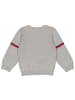 Fred´s World by GREEN COTTON Strickpullover 1524005400 in grau