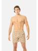 Gassa d’Amante Badeshorts Vieste in Braun
