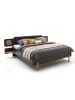 Wimex Bett Valencia graphit Holzoptik 260 / 210 / 95cm