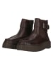Clarks Ankle Boots Torhill Buckle in 5228 Dark Brown Lea