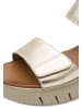 Tamaris Sneakers Low 8-88720-44 in goldfarben