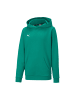 Puma Sweatshirt teamGOAL 23 Casuals Hoody Jr in grün