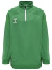 Hummel Hummel Halbreißverschluss Sweatshirt Hmllead Kinder in JELLY BEAN