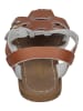 Salt-Water Sandals Sandalen SW Shark in braun
