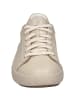 Josef Seibel Sneaker Claire 01 in beige