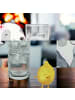 Mr. & Mrs. Panda Glas Spinne Agathe Party ohne Spruch in Transparent