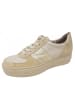 Paul Green Sneaker  in Beige