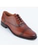 Purapiel Schnürschuhe Darius2 in Braun
