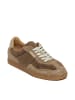 Steve Madden Sneaker in braun