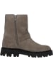 palado Winterstiefeletten in grey