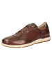 Sioux Sneaker Furatino-702 in cognac