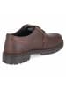 Camel Active Schnürhalbschuh in brown