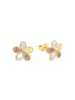 Amor Ohrstecker Gold 375/9 ct in Tricolor
