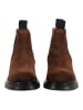 Pavement Stiefelette ESMARA SUEDE in Braun