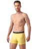 Muchachomalo 2er-Set: Boxershorts in Yellow/Blue