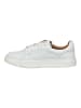Steve Madden Sneaker Weiß