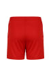 Puma Trainingsshorts TeamGOAL 23 Knit in rot