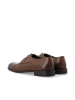 Bianco Derby-Schuhe aus Leder in Dark Brown