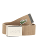Lacoste Gürtel 40 WOVEN STRAP IN KIT in Braun