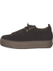 Paul Green Sneakers Low in Moro