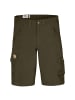 FJÄLLRÄVEN Shorts in grün
