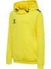 Hummel Kinder Hoodie "Hmlauthentic Pl Hoodie Kids" in Gelb