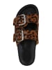 VAN HILL Pantoletten Lorraine in Leopard