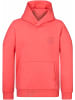 naketano Hoodie "Theo's Lieblingspulli" in Rot