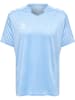 Hummel Hummel T-Shirt Hmlcore Multisport Herren Atmungsaktiv Schnelltrocknend in ARGENTINA BLUE