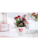 Villeroy & Boch 5er Set Henkelbecher With Love 290 ml in weiß-gelb