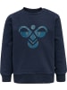 Hummel Kinder Sweatshirt "Hmlcitrus Sweatshirt" in Blau