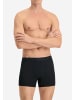 Puma Boxershorts PUMA SPORT MICROFIBER BOXER 6P in Black