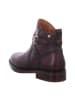 Pikolinos Ankle Boots in Braun