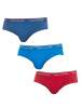 Tommy Hilfiger Underwear 3er-Set: Slip in Multicolored